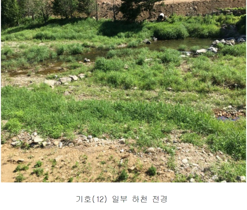 경기도 양평군 서종면 수입리 163-1 외 21필지 대지 경매 사진 24
