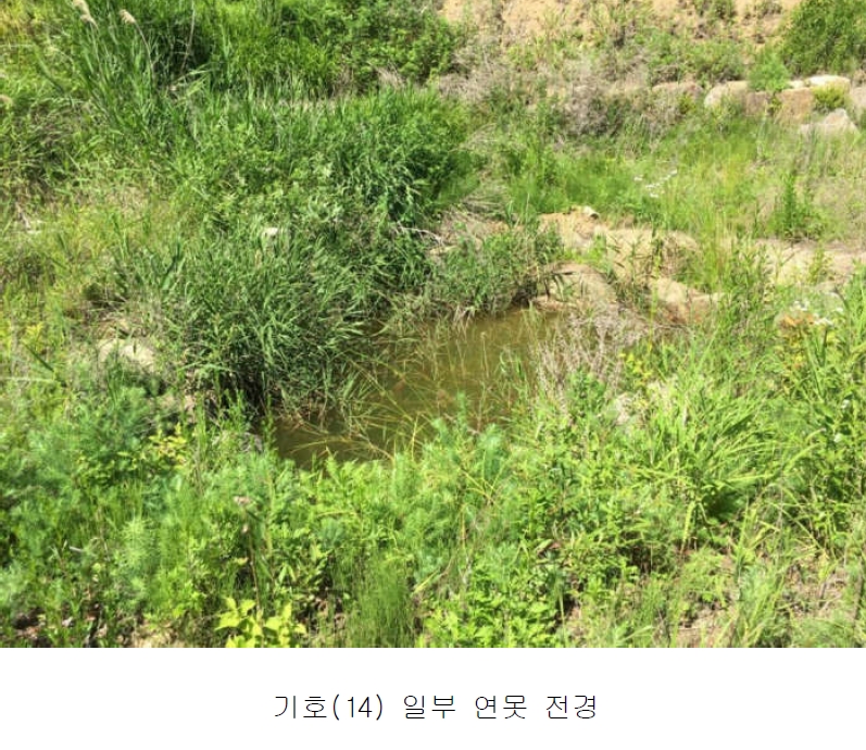 경기도 양평군 서종면 수입리 163-1 외 21필지 대지 경매 사진 25