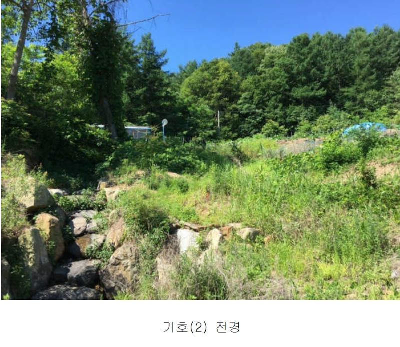 경기도 양평군 서종면 수입리 163-1 외 21필지 대지 경매 사진 4