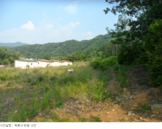 경기도 양평군 서종면 수입리 163-1 외 21필지 대지 경매 사진 42