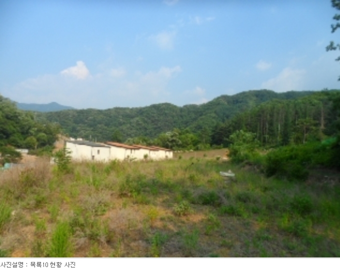 경기도 양평군 서종면 수입리 163-1 외 21필지 대지 경매 사진 43