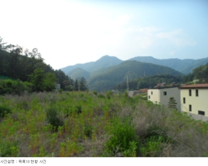 경기도 양평군 서종면 수입리 163-1 외 21필지 대지 경매 사진 44