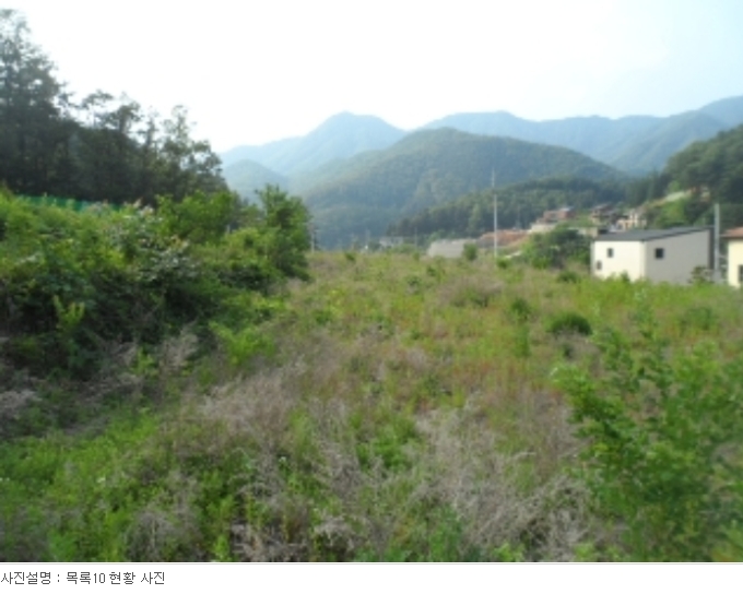 경기도 양평군 서종면 수입리 163-1 외 21필지 대지 경매 사진 45