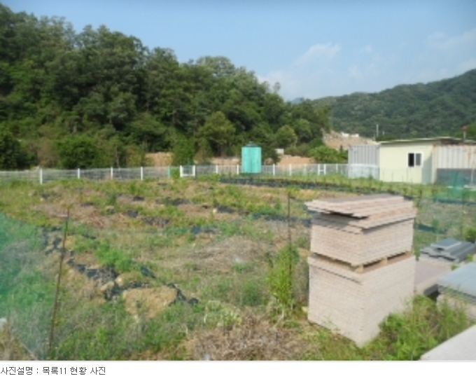 경기도 양평군 서종면 수입리 163-1 외 21필지 대지 경매 사진 50