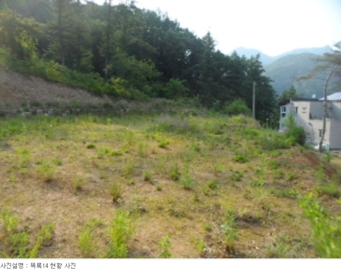 경기도 양평군 서종면 수입리 163-1 외 21필지 대지 경매 사진 55