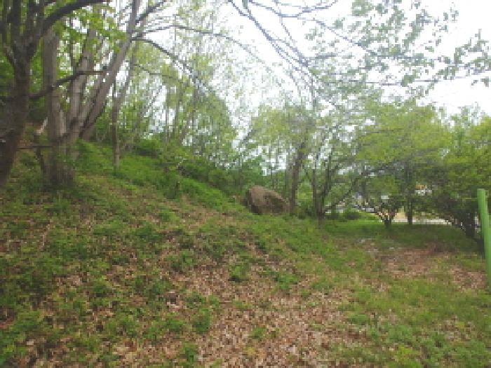 충청남도 금산군 제원면 명곡리 123 외 8필지 단독주택 경매 사진 41