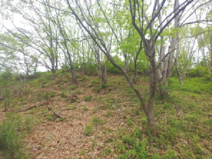 충청남도 금산군 제원면 명곡리 123 외 8필지 단독주택 경매 사진 42