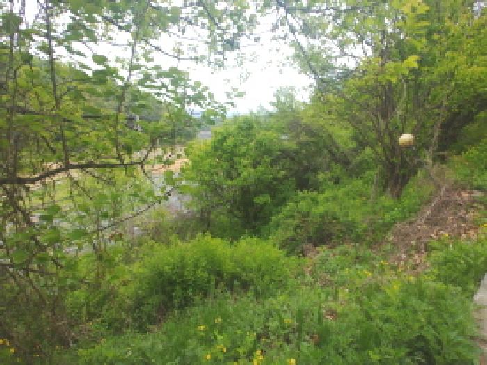 충청남도 금산군 제원면 명곡리 123 외 8필지 단독주택 경매 사진 53