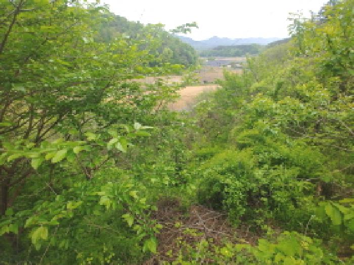 충청남도 금산군 제원면 명곡리 123 외 8필지 단독주택 경매 사진 56