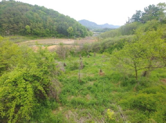 충청남도 금산군 제원면 명곡리 123 외 8필지 단독주택 경매 사진 58