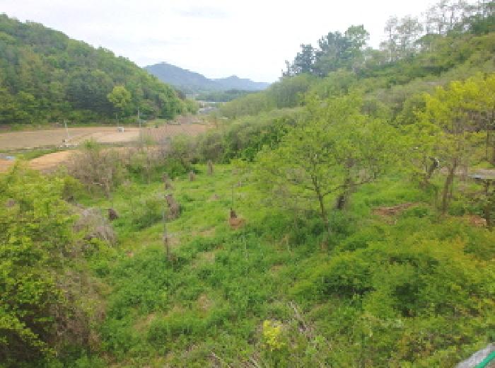 충청남도 금산군 제원면 명곡리 123 외 8필지 단독주택 경매 사진 59