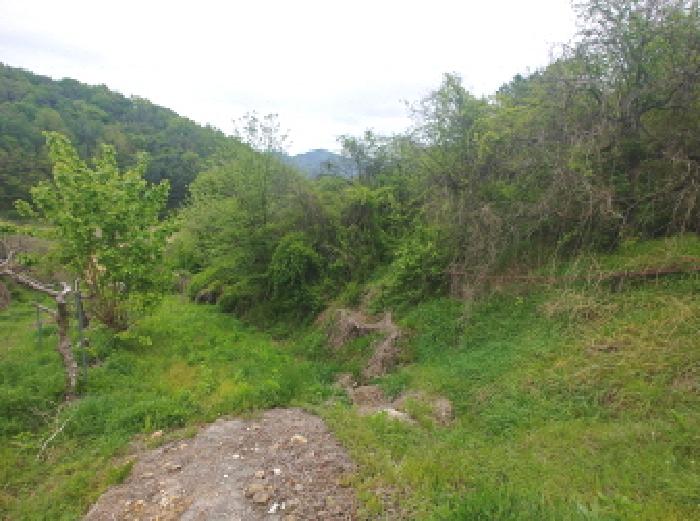 충청남도 금산군 제원면 명곡리 123 외 8필지 단독주택 경매 사진 68
