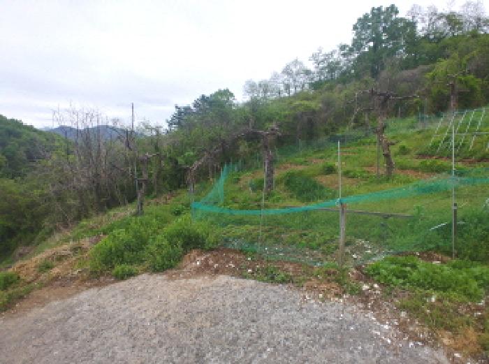 충청남도 금산군 제원면 명곡리 123 외 8필지 단독주택 경매 사진 69