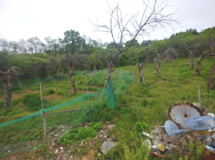 충청남도 금산군 제원면 명곡리 123 외 8필지 단독주택 경매 사진 70