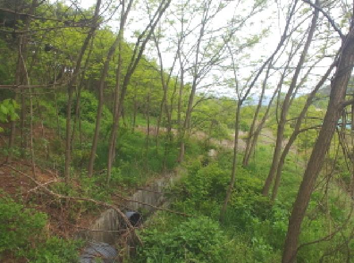 충청남도 금산군 제원면 명곡리 123 외 8필지 단독주택 경매 사진 76