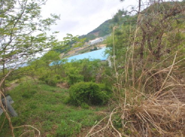 충청남도 금산군 제원면 명곡리 123 외 8필지 단독주택 경매 사진 77