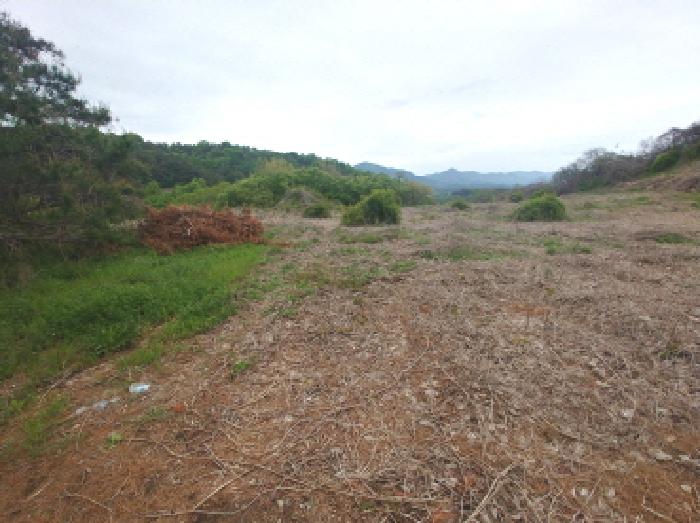 충청남도 금산군 제원면 명곡리 123 외 8필지 단독주택 경매 사진 80