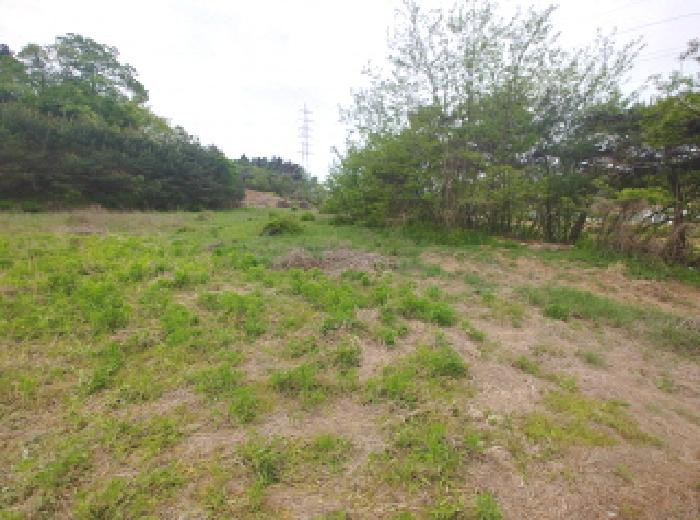 충청남도 금산군 제원면 명곡리 123 외 8필지 단독주택 경매 사진 90