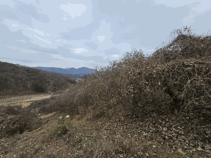 충청남도 금산군 제원면 명곡리 123 외 8필지 단독주택 경매 사진 95