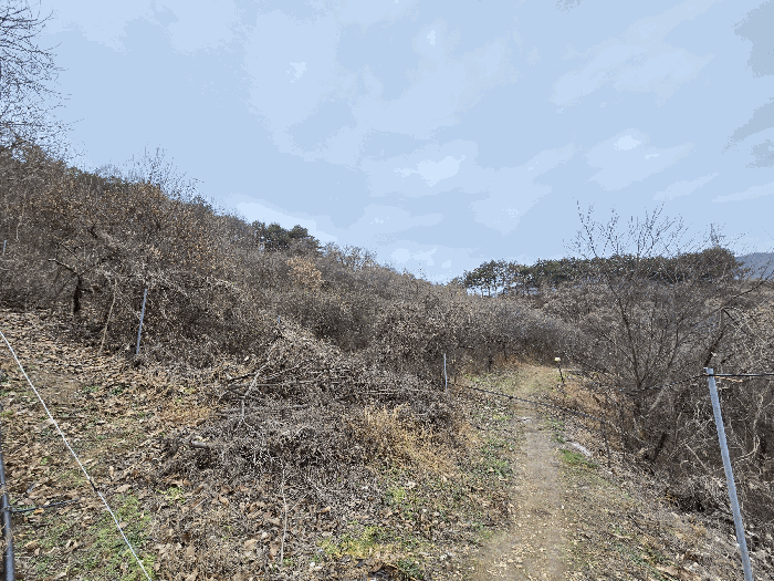 충청남도 금산군 제원면 명곡리 123 외 8필지 단독주택 경매 사진 96