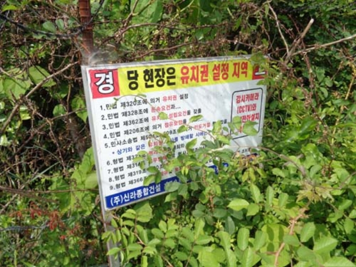 제주특별자치도 제주시 구좌읍 세화리 산44-2 외 2필지 임야 경매 사진 6