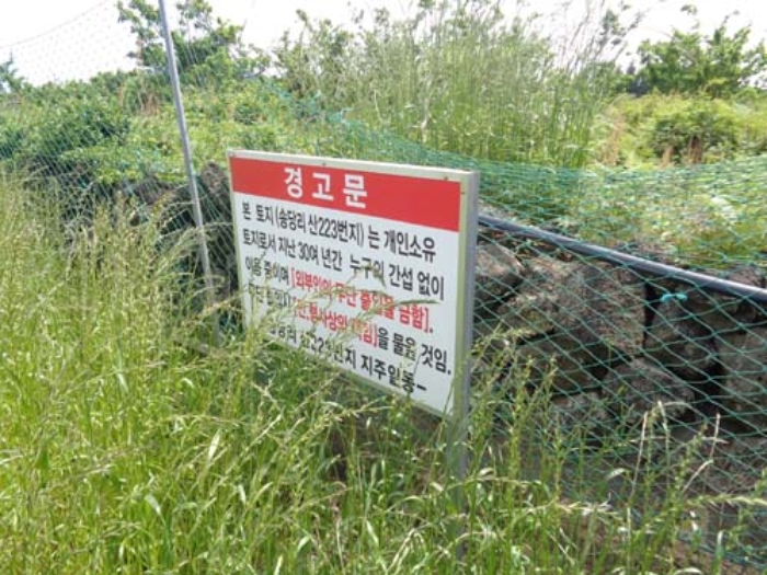 제주특별자치도 제주시 구좌읍 송당리 산223 임야 경매 사진 18