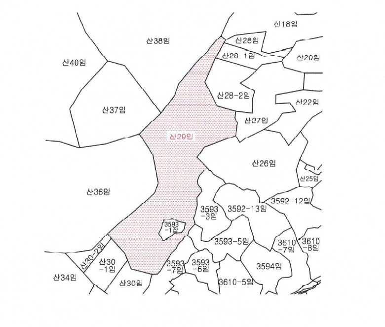 제주특별자치도 제주시 구좌읍 세화리 산29 임야 경매 사진 21