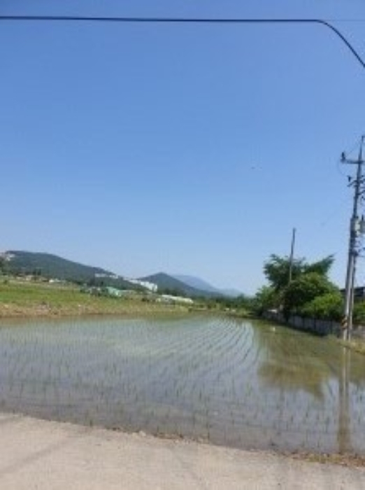 울산광역시 울주군 삼남면 상천리 90-30 답 경매 사진 25