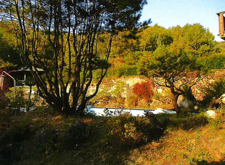 강원도 원주시 부론면 정산리 2118 외 10필지 단독주택 경매 사진 2