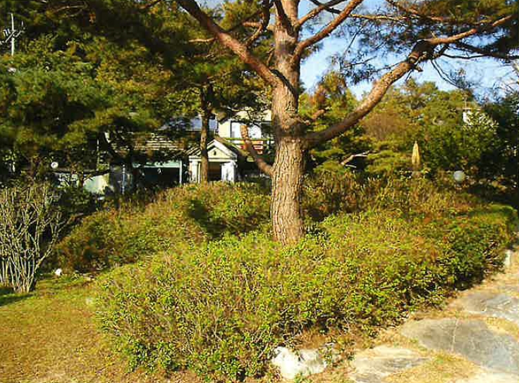 강원도 원주시 부론면 정산리 2118 외 10필지 단독주택 경매 사진 14