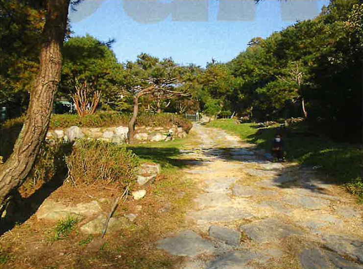 강원도 원주시 부론면 정산리 2118 외 10필지 단독주택 경매 사진 16