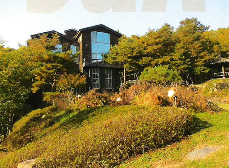 강원도 원주시 부론면 정산리 2118 외 10필지 단독주택 경매 사진 5