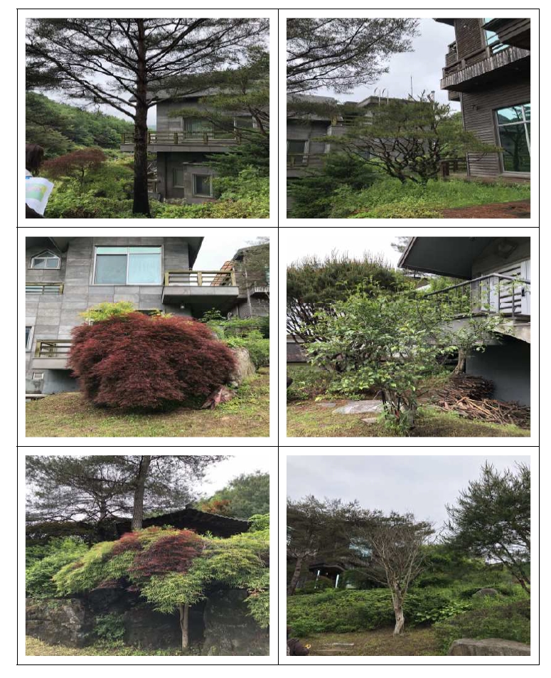 강원도 원주시 부론면 정산리 2118 외 10필지 단독주택 경매 사진 51