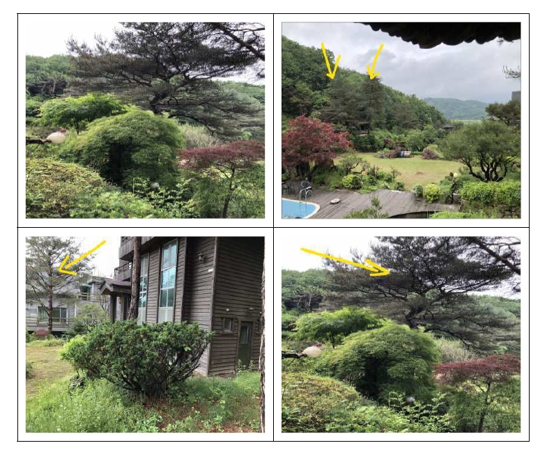 강원도 원주시 부론면 정산리 2118 외 10필지 단독주택 경매 사진 52