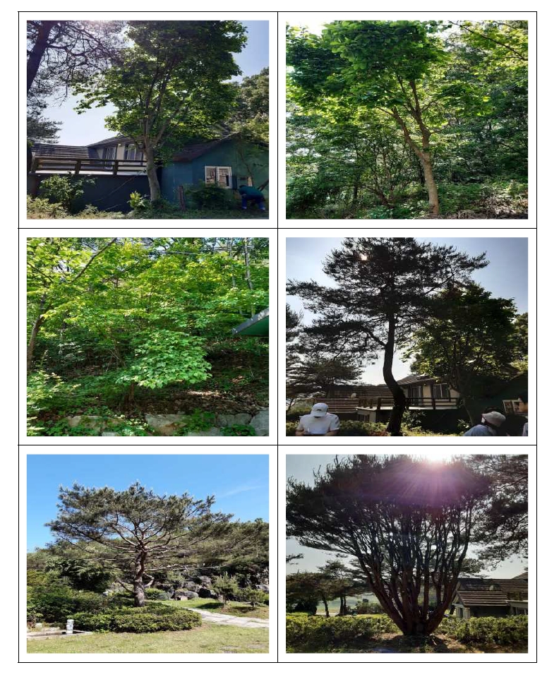 강원도 원주시 부론면 정산리 2118 외 10필지 단독주택 경매 사진 59