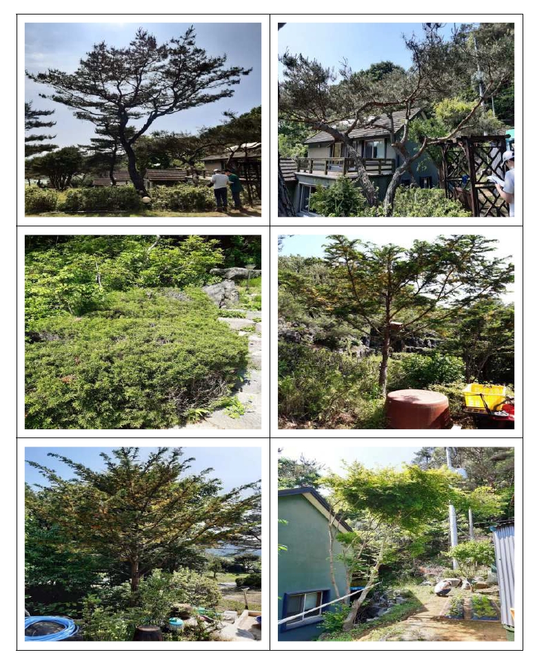강원도 원주시 부론면 정산리 2118 외 10필지 단독주택 경매 사진 75
