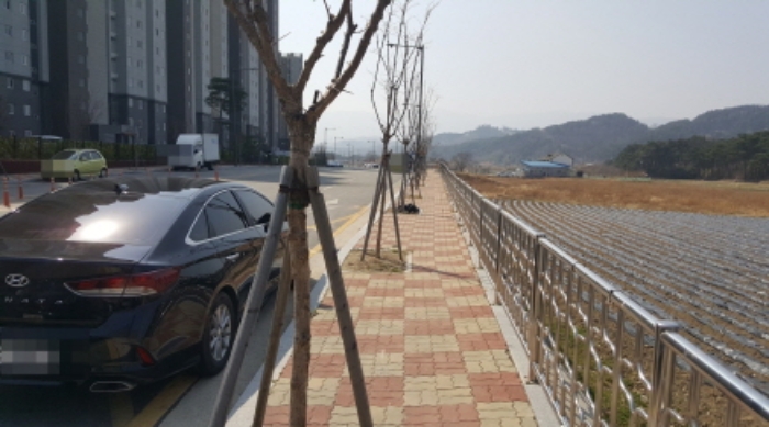 강원도 강릉시 회산동 127-3 외 8필지 도로 경매 사진 12
