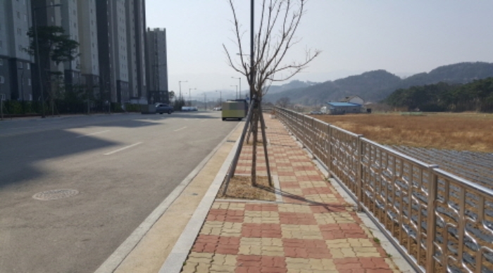 강원도 강릉시 회산동 127-3 외 8필지 도로 경매 사진 13