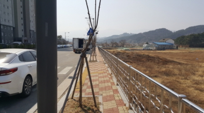 강원도 강릉시 회산동 127-3 외 8필지 도로 경매 사진 21