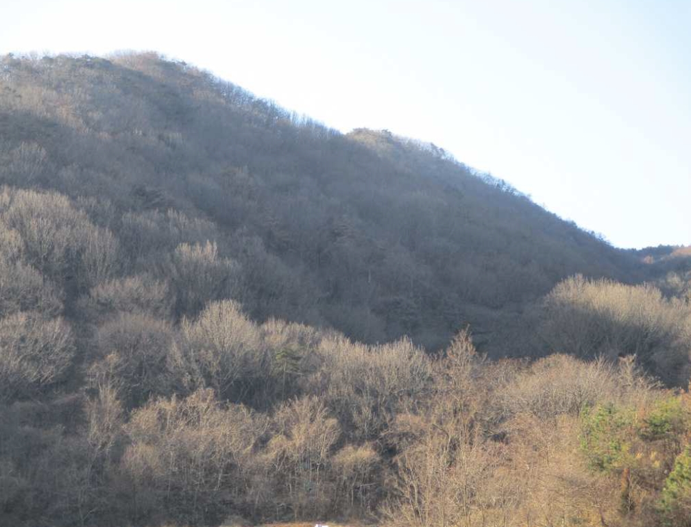 경상남도 김해시 대동면 덕산리 254-7 외 9필지 전 경매 사진 1