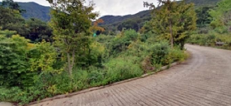 경상남도 김해시 대동면 덕산리 254-7 외 9필지 전 경매 사진 14