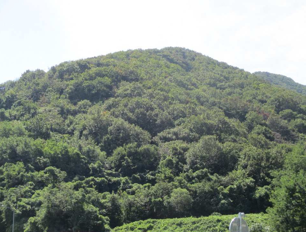 경상남도 김해시 대동면 덕산리 254-7 외 9필지 전 경매 사진 8