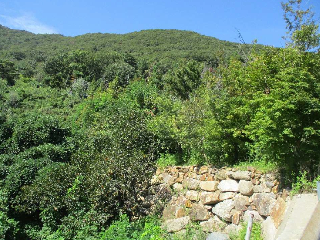 경상남도 김해시 대동면 덕산리 254-7 외 9필지 전 경매 사진 10