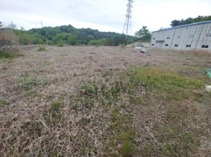 충청남도 금산군 제원면 명곡리 686-2 외 18필지 공장 경매 사진 117