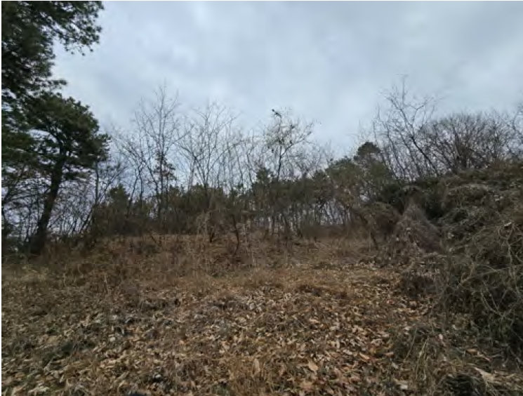 충청남도 금산군 제원면 명곡리 686-2 외 18필지 공장 경매 사진 13