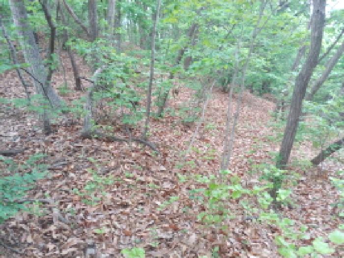 충청남도 금산군 제원면 명곡리 686-2 외 18필지 공장 경매 사진 143
