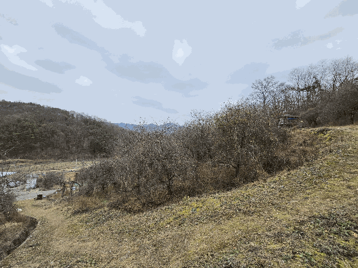 충청남도 금산군 제원면 명곡리 686-2 외 18필지 공장 경매 사진 148