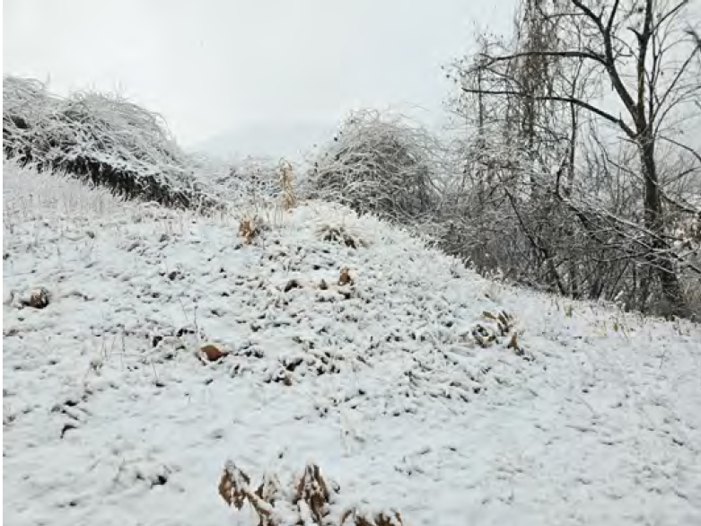 충청남도 금산군 제원면 명곡리 686-2 외 18필지 공장 경매 사진 25