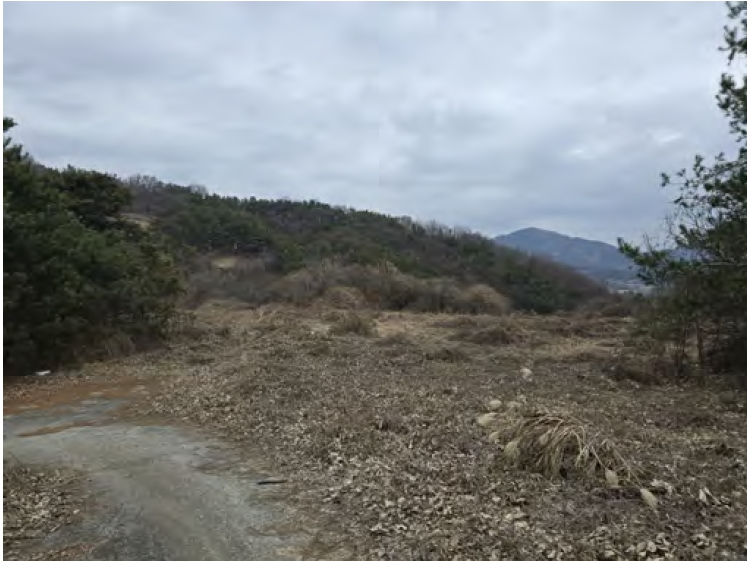 충청남도 금산군 제원면 명곡리 686-2 외 18필지 공장 경매 사진 4