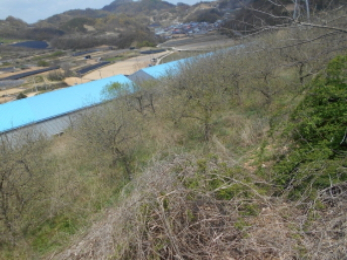 충청남도 금산군 제원면 명곡리 686-2 외 18필지 공장 경매 사진 43